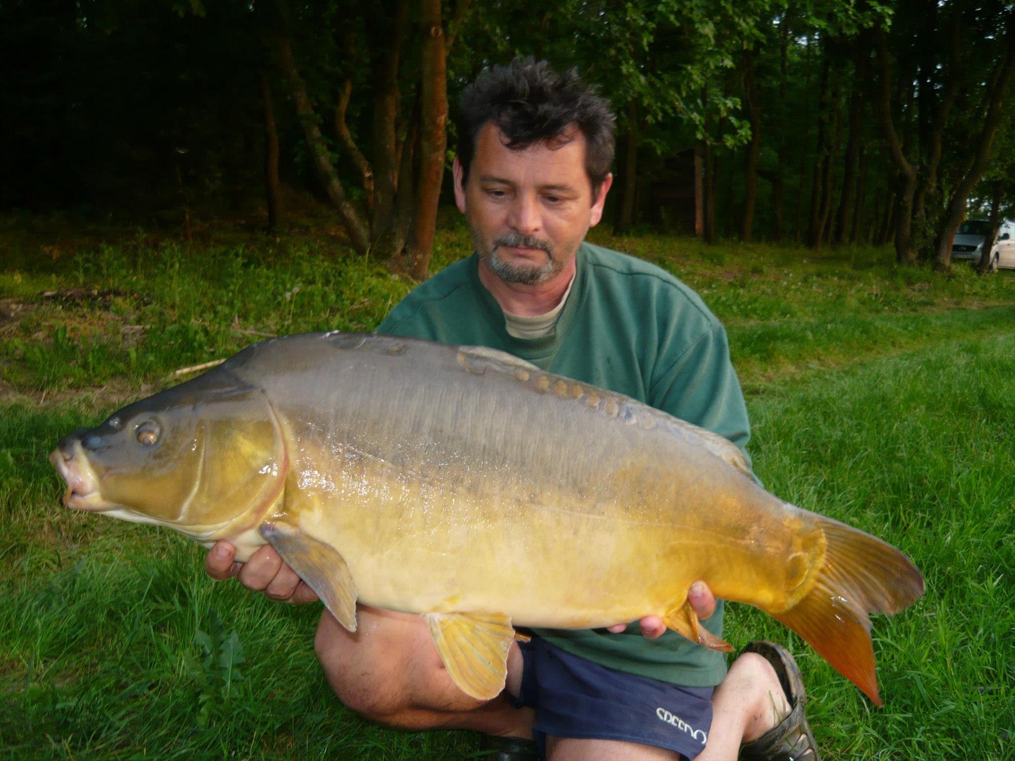 Cetariu Mai 2013 - 9646224613094006194321334583349o.jpg